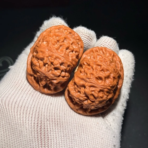 898精品矮桩宫灯狮子头满肉饼子红实物拍摄尺寸:边45肚40高31