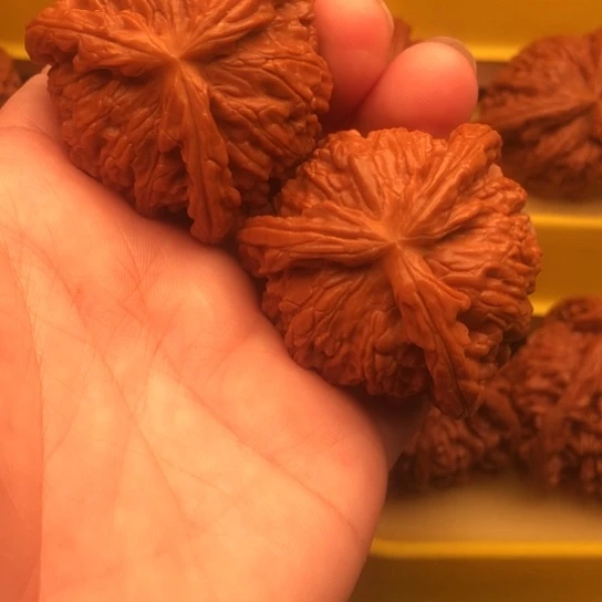 离***」核桃核桃核桃核桃