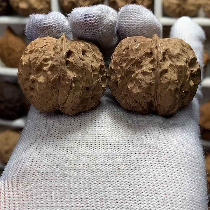 核桃36尺心形小元宝20号