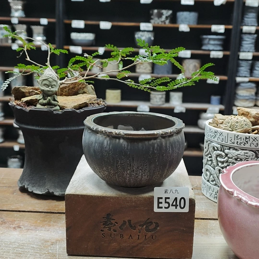 瓷素八九陶瓷内口10高9.5