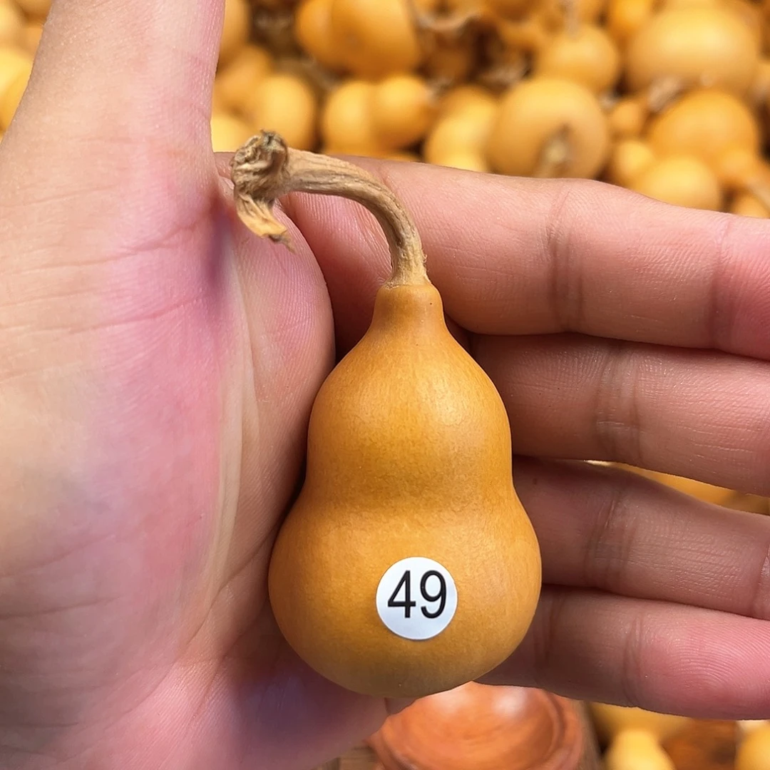 一葫芦葫芦葫芦葫芦49