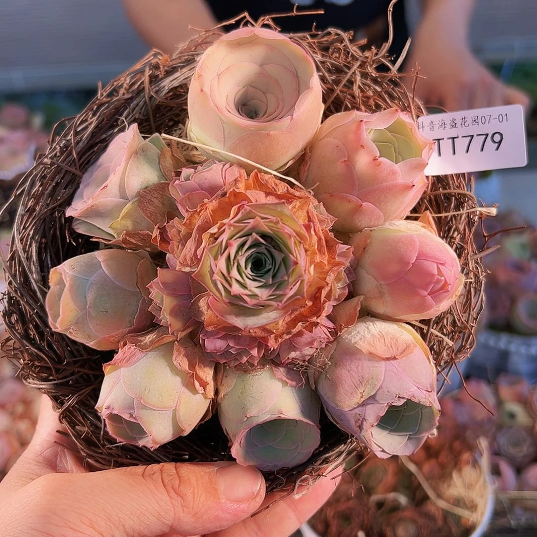 T779。 玫瑰混花篮。