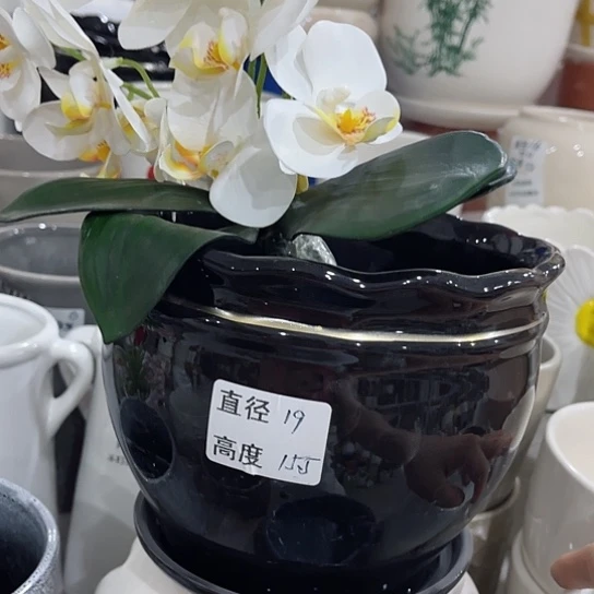 多肉绿植陶瓷花盆9.9包邮，有孔