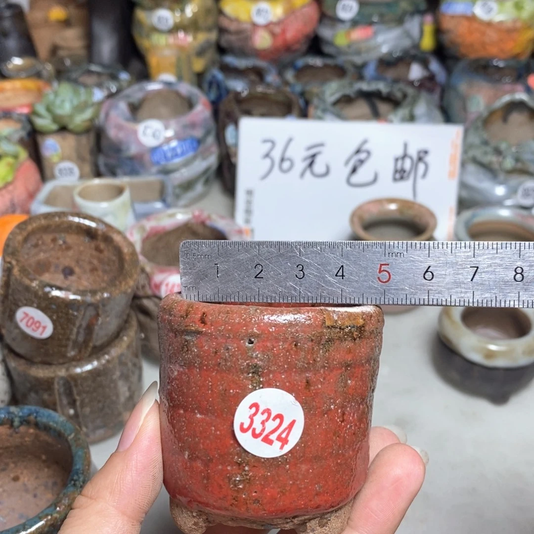 拍3送一个9.9拍5送同款