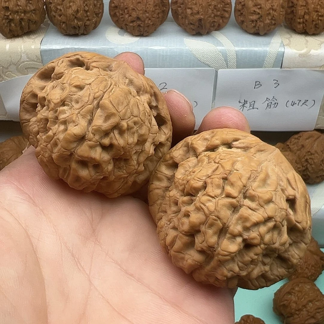 ﹎***ℯ桃核把件精品龙鼎50➕