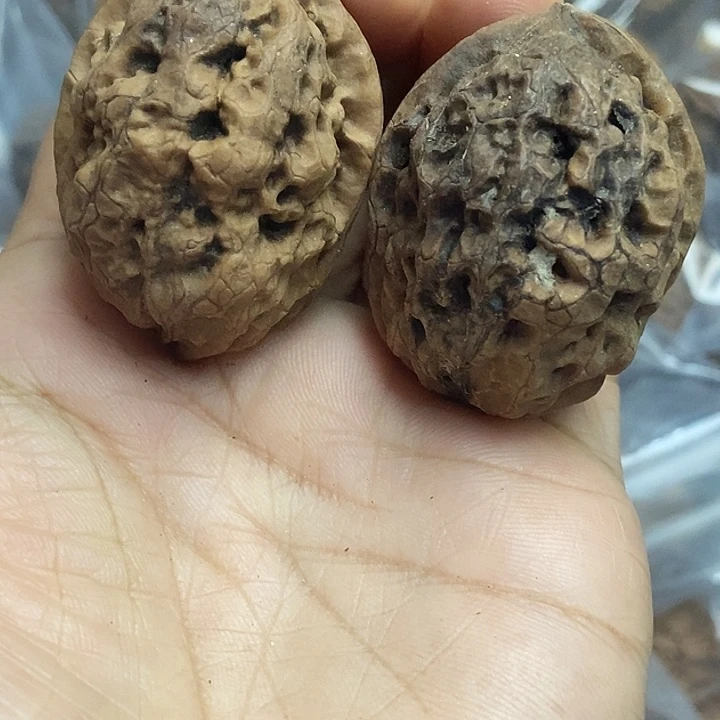 把件文玩核桃云南铁核桃基地11