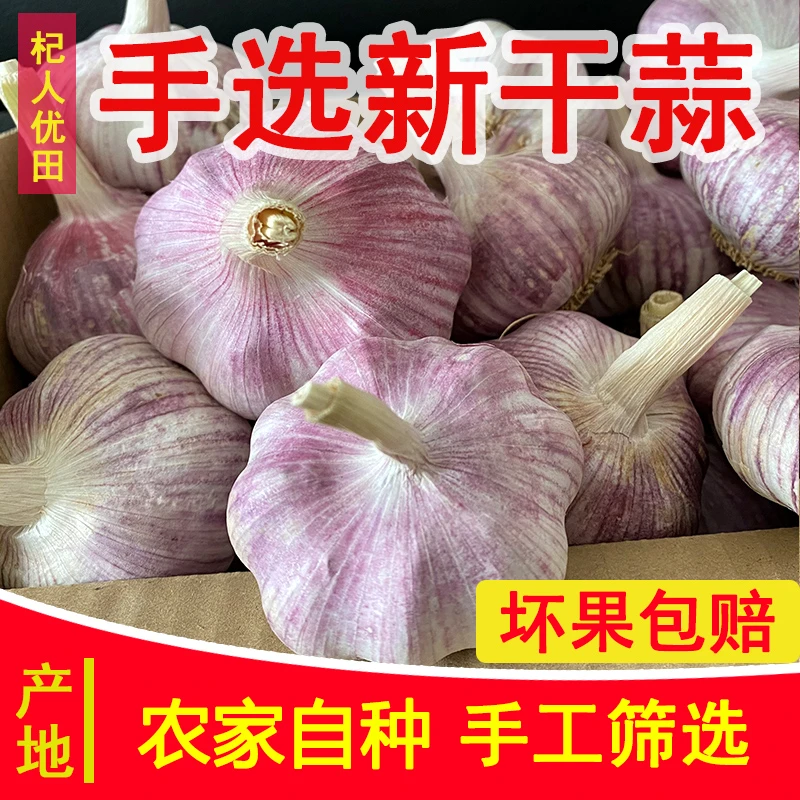 5斤新干蒜大蒜农家大蒜头紫白皮产地直发蔬菜1斤9斤【2025新干蒜】