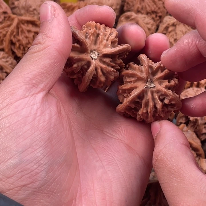 富***帅桃核吊坠盘山三棱