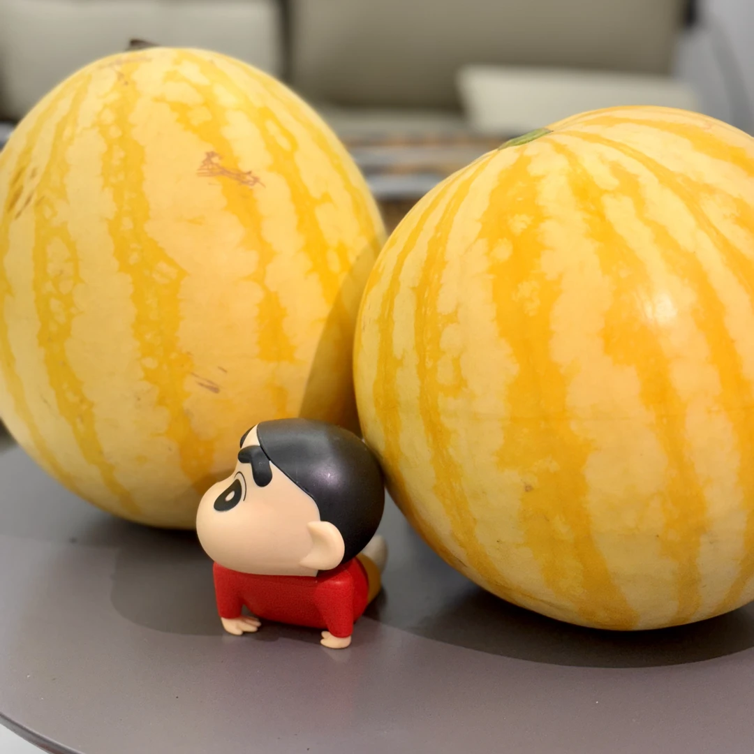 【顺丰包邮】三倍体冰淇淋赤金恐龙蛋无籽黄皮红壤西瓜现摘现发