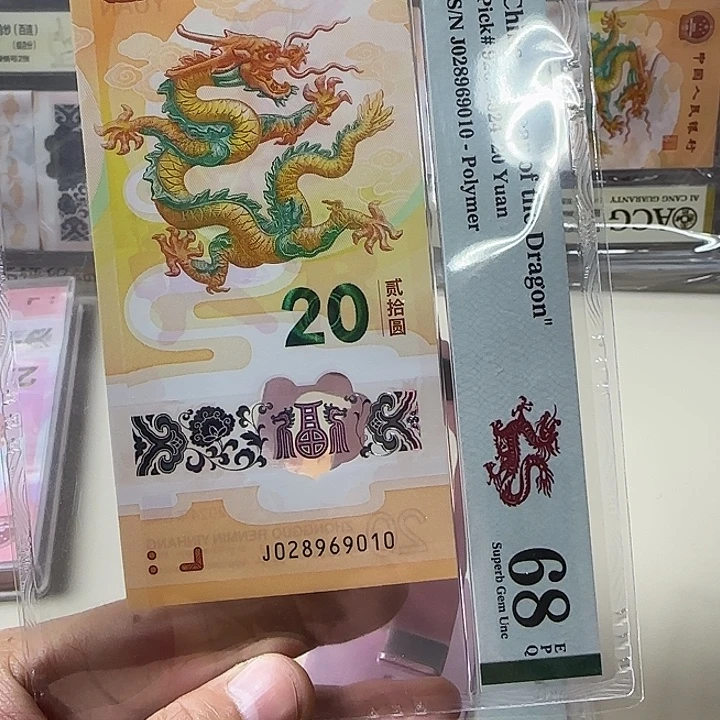 寒***雪塑料龙钞028969010