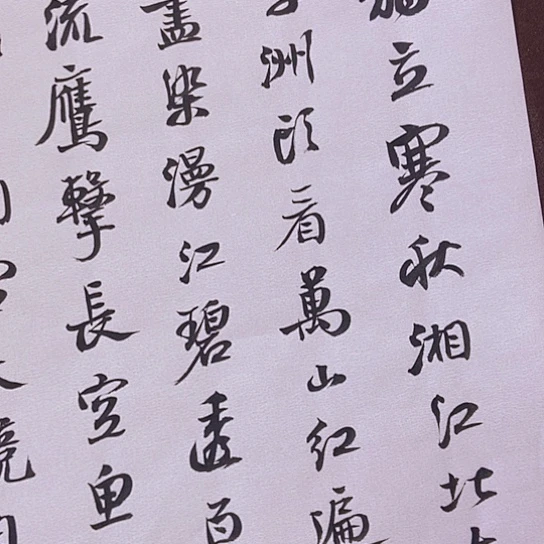 书法张建东老师书法作品