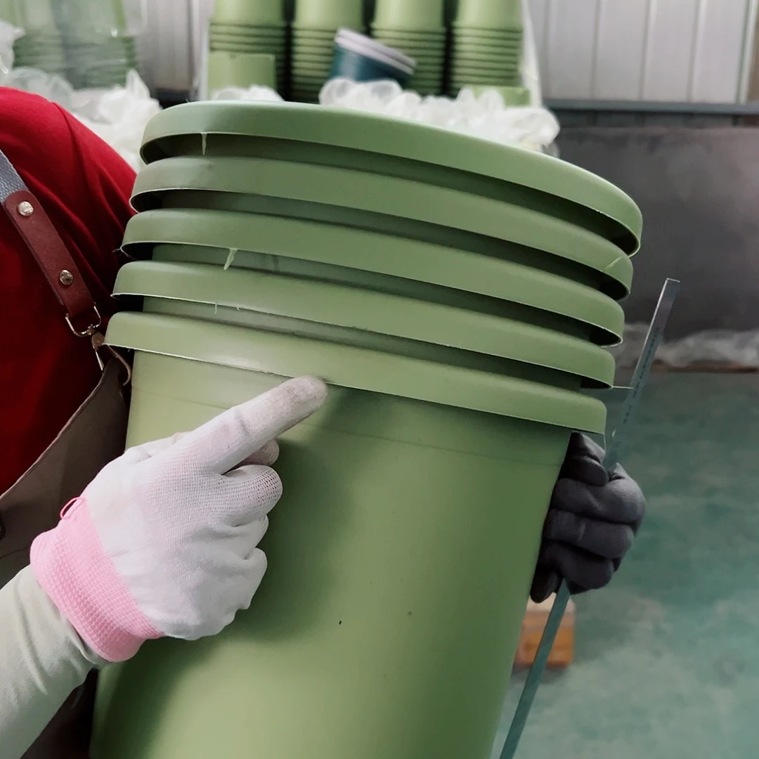 四季盆5#果绿色6个无托