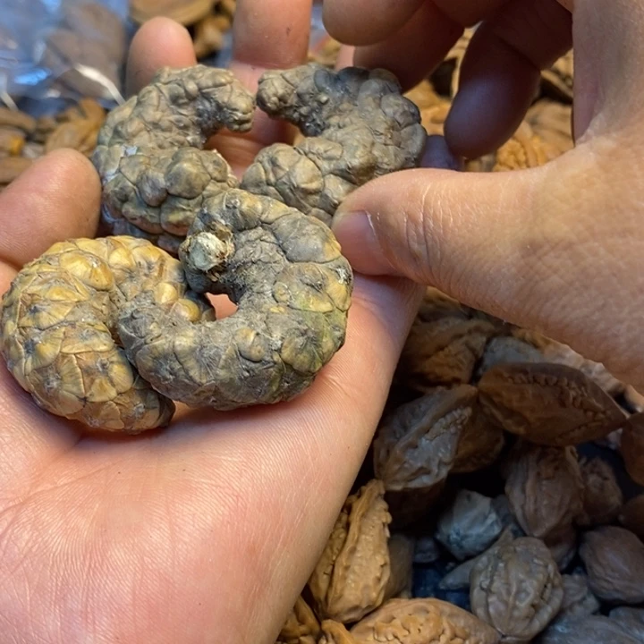 如***你桃核吊坠哪里的人106