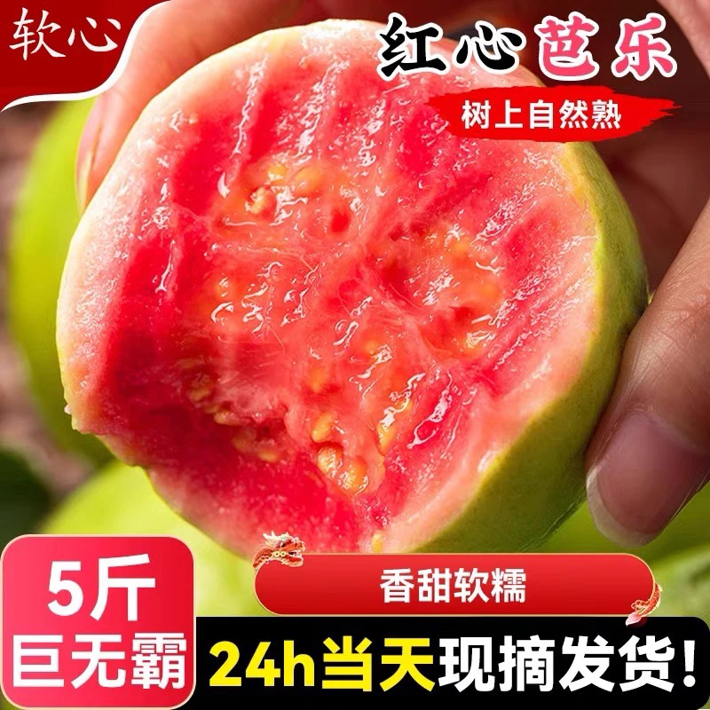 三亚直发水果软糯冰淇淋5斤装新鲜果芭乐番石榴脆甜低糖顺丰包邮