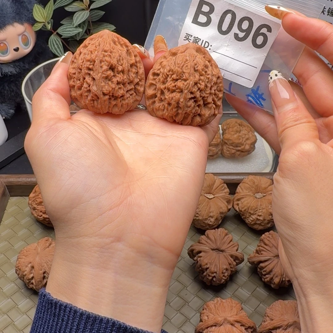 龙脊菩提吊坠全家福三角疆42+全品