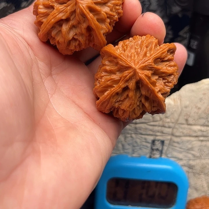 文玩核桃吊坠野牛4棱