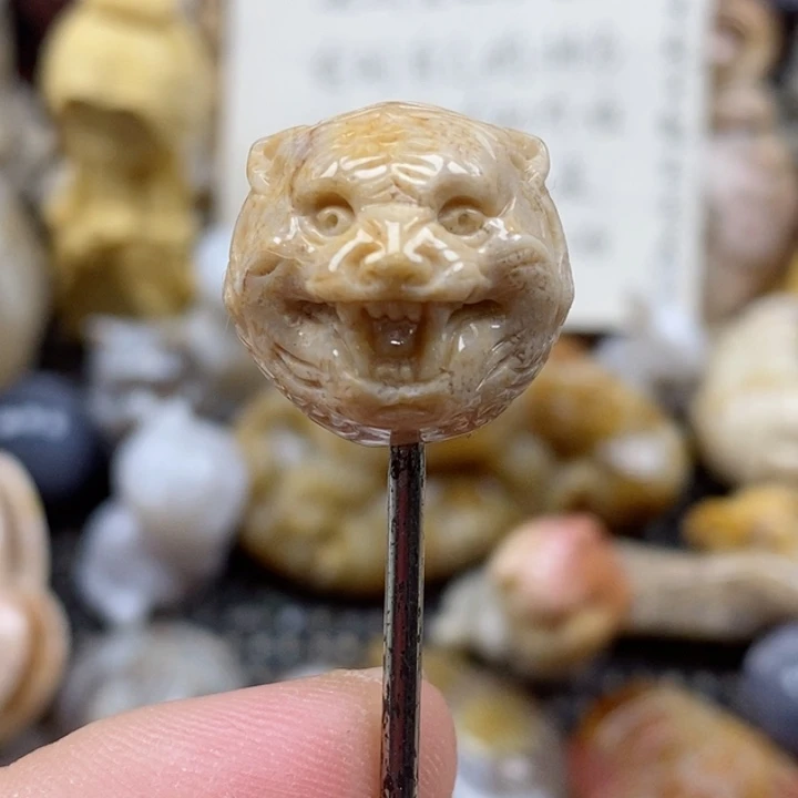 颈饰未镶嵌硅化珊瑚（珊瑚玉）
