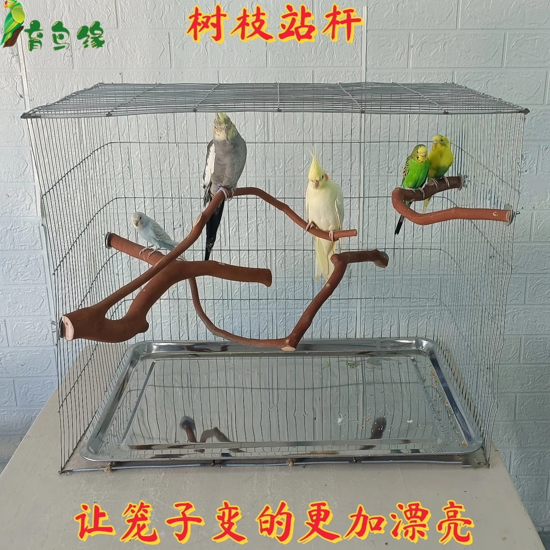 鹦鹉笼内树枝站架站棍站杆站棒中小型鹦鹉栖栖木松鼠蜜袋鼬蛇爬架