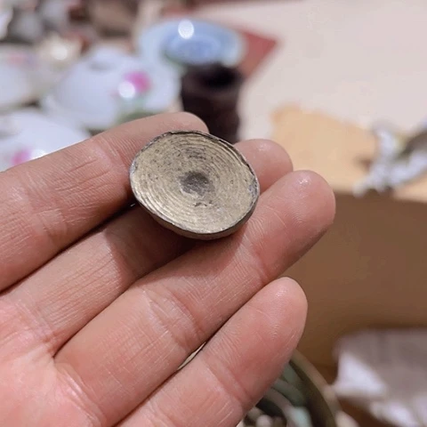 松木禅**尘Fghgghvghvgvccv