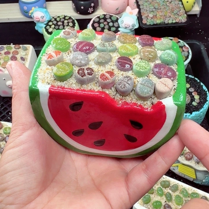 852零下地区记拍保温箱