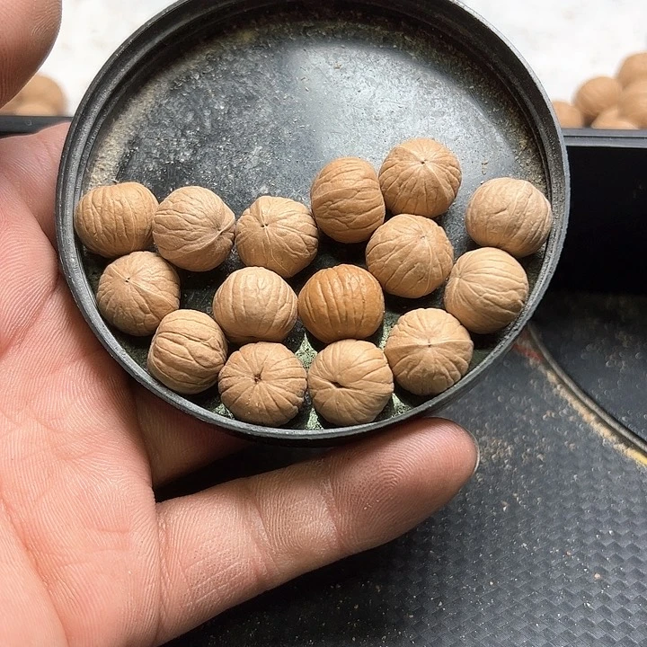 猴头核桃手串杨**亿南瓜送猴王