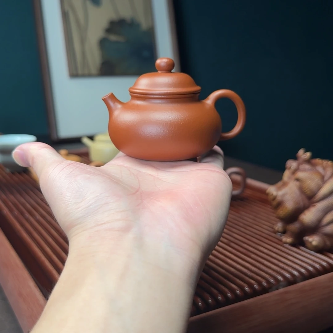纸***机紫砂茶壶容天 120cc 朱泥