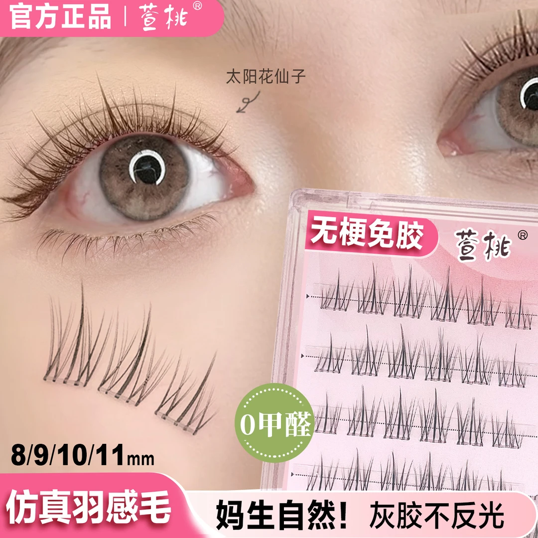 【太阳花仙子】无梗免胶！萱桃自然开花大眼适合新手懒人假睫毛