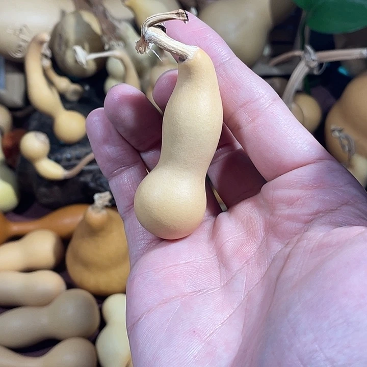 五***哥，，，，，，，，弯嘴，，，，，