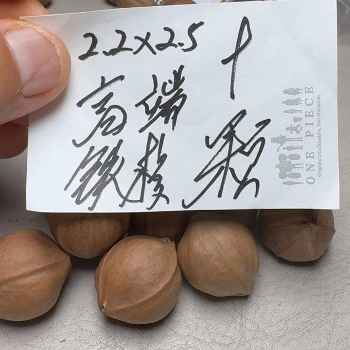 知***乐手串/手链橄榄核橄榄核2.2