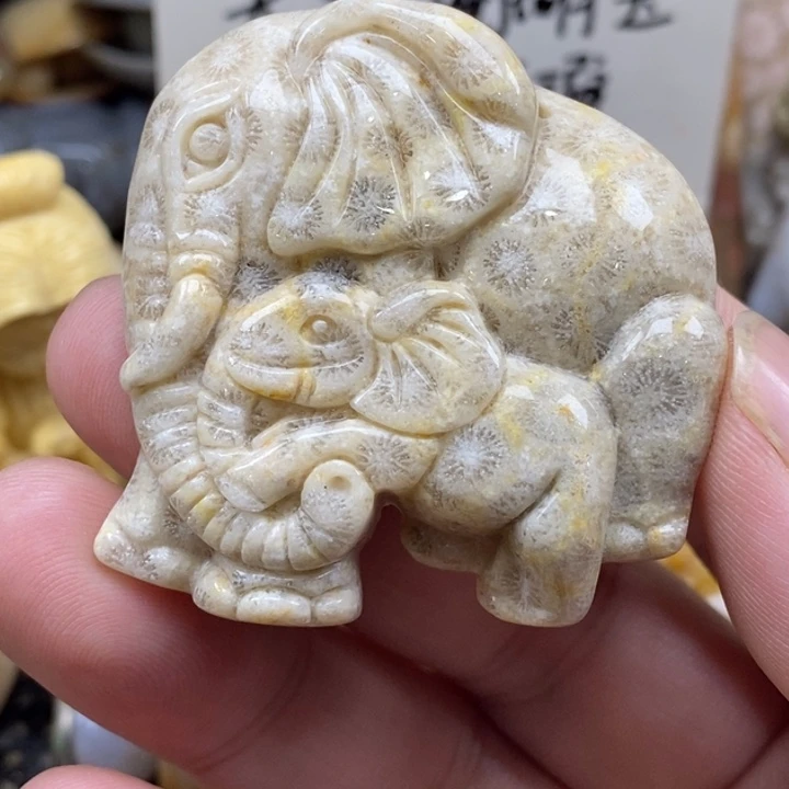 硅化珊瑚（珊瑚玉）未镶嵌颈饰