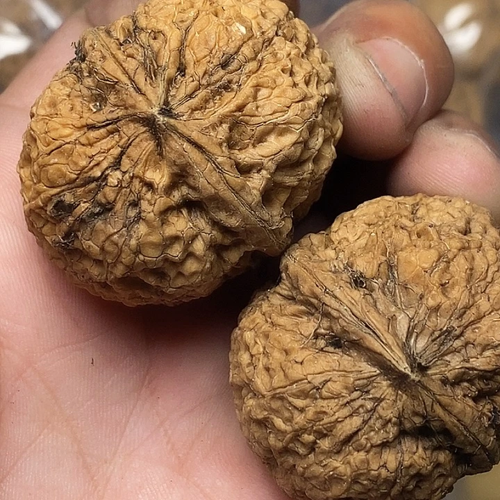 把件文玩核桃云南铁核桃A67