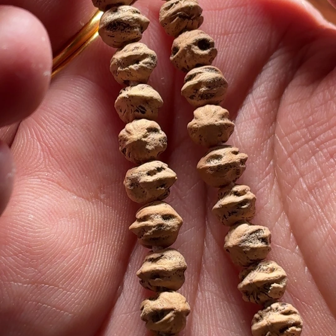 吊坠柏香籽/百香籽