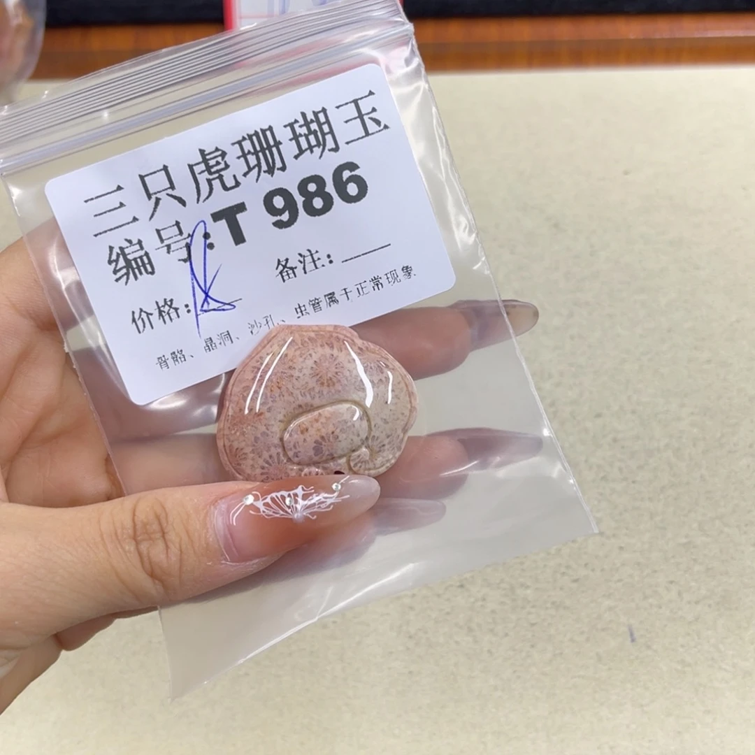 硅化珊瑚（珊瑚玉）h未镶嵌