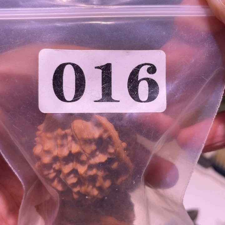 ****j吊坠文玩核桃016秦公子