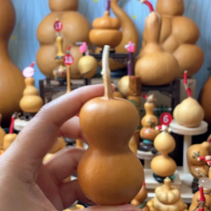 平***康葫芦丝老师在讲道理吗