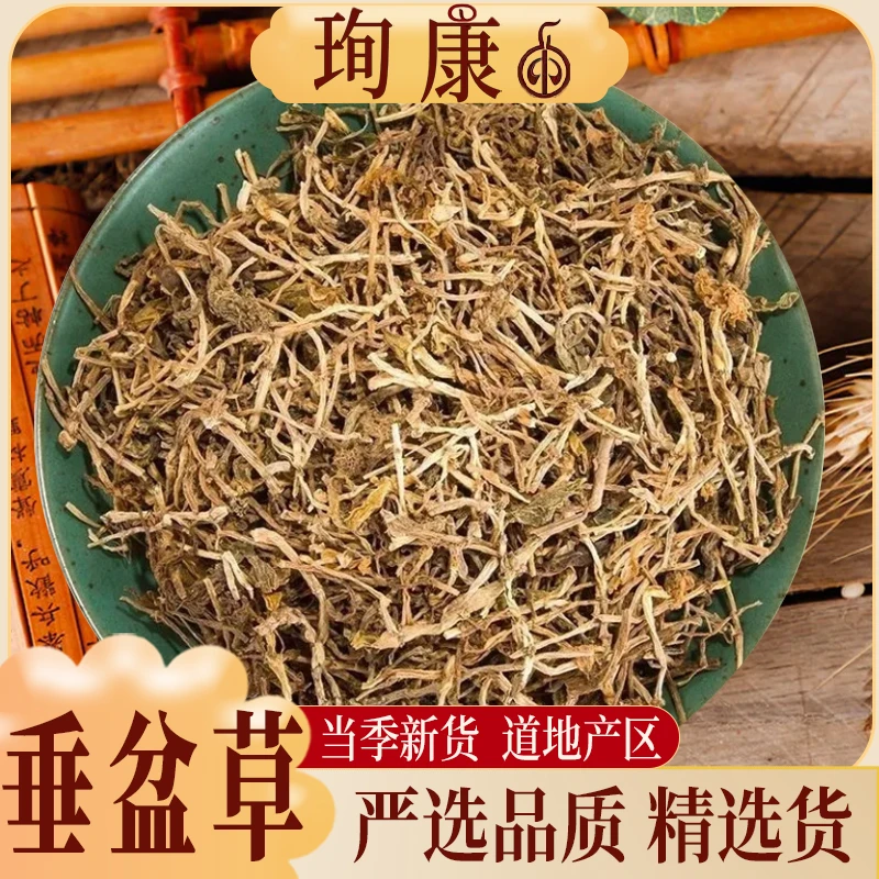 珣康药业【垂盆草】精选货 垂盆草可食用 蛇丹草吊兰绿化垂盘草