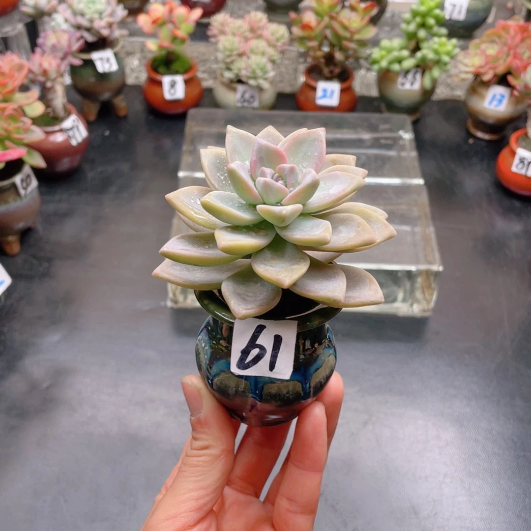 无铅玻璃青*花器花器和我花器