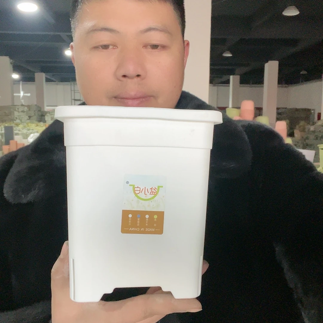 树脂方1号白5个带托