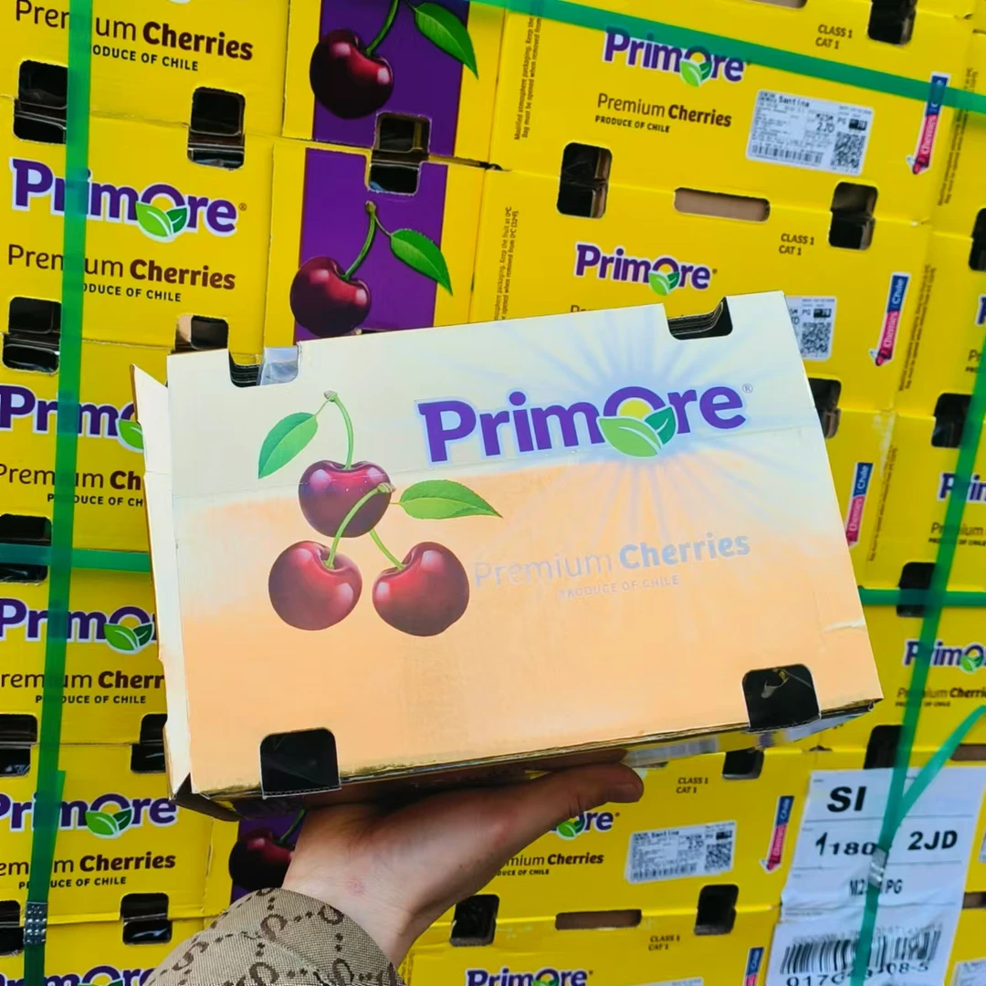 【小金盒】智利海运车厘子桑提娜原装箱5斤 J～4J 鲜果 内附果径卡