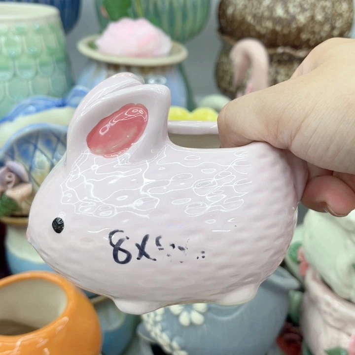 多肉植物陶瓷花盆