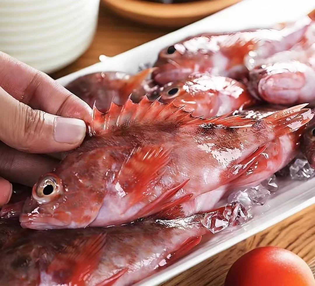 顺丰发3斤/4斤虎头鱼红石斑虎头斑石九公鲜活速冻无鳔鲉平鲉海鲜