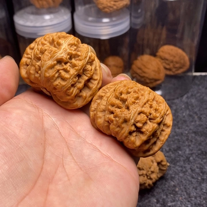 文玩核桃吊坠48大粗筋