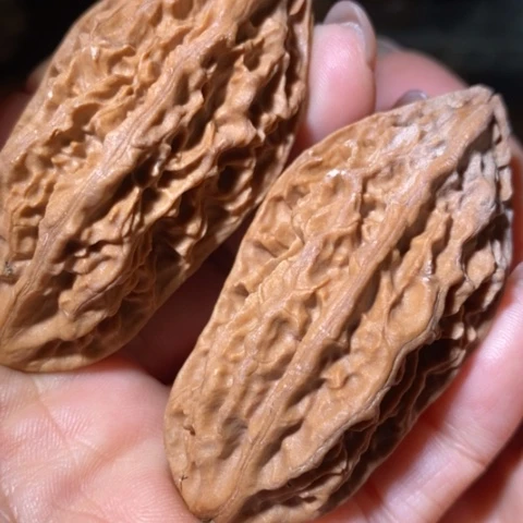 把件文玩核桃东北野生楸子小美9