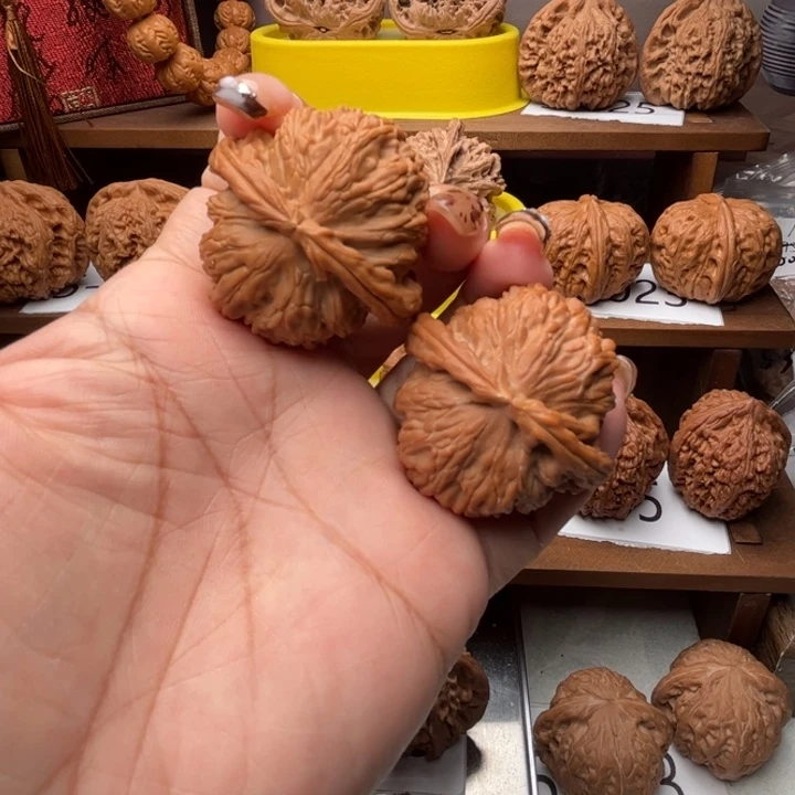 核桃白狮子42全品5015