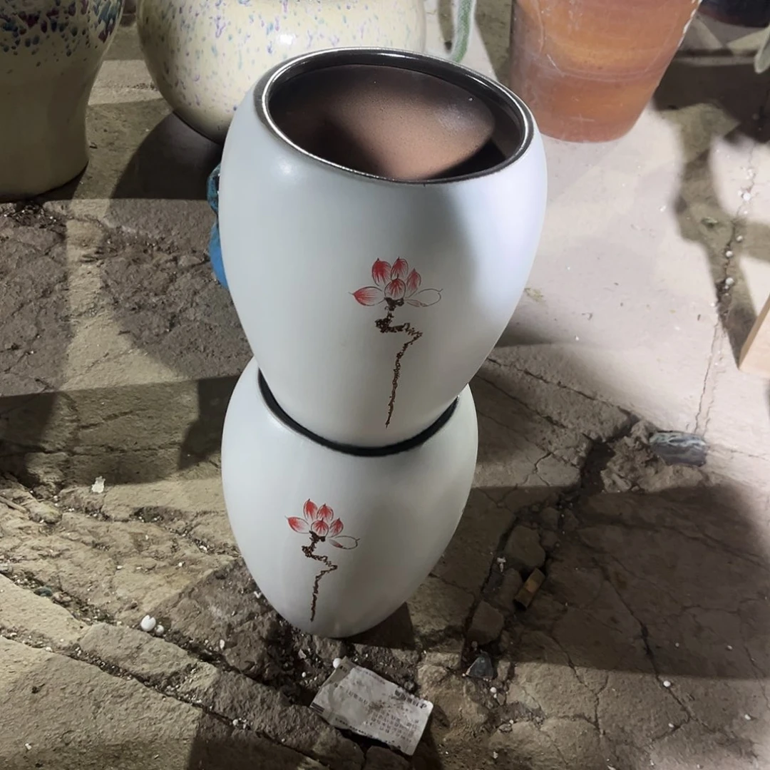 紫砂花盆里的小猫咪