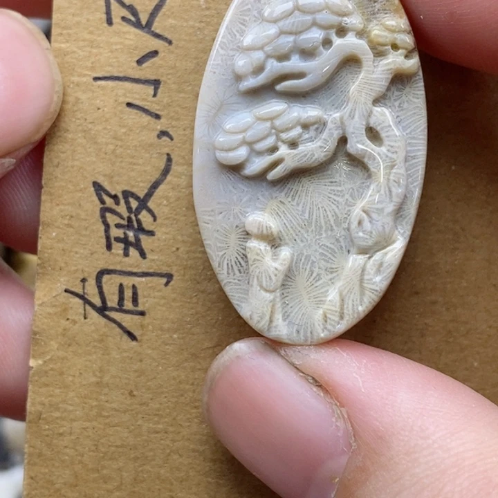 颈饰未镶嵌硅化珊瑚（珊瑚玉）