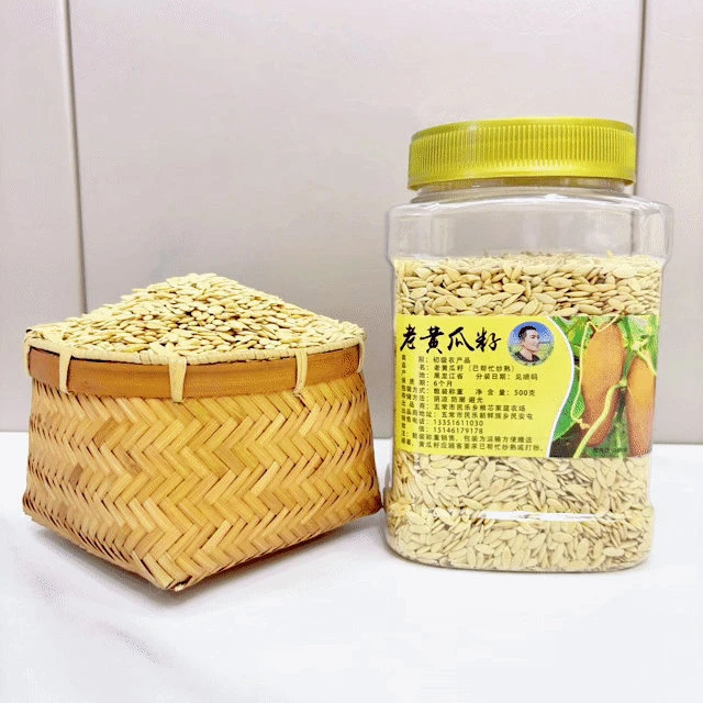 东北老旱黄瓜籽 麻皮老黄瓜籽 500克/罐 已帮忙炒熟