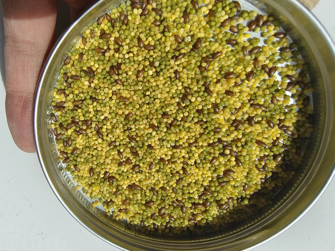 蛋小米(主播同款自制蛋小米)鹦鹉蛋小米脱壳加纳混合高能量蛋米