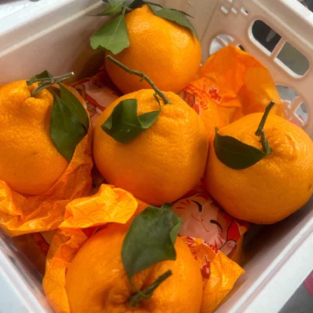 丑橘，净3斤，四川8分甜，2分酸大雅柑四川省凉山彝族自治州