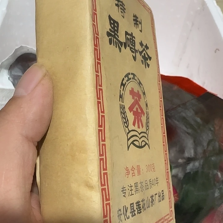 良***野扇子fyggggghggvgbv